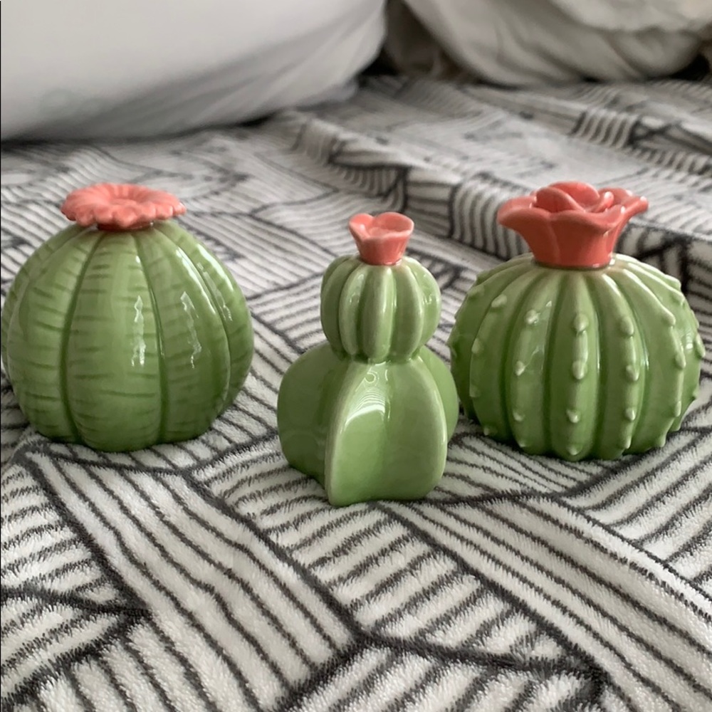 3 Ceramic cactus